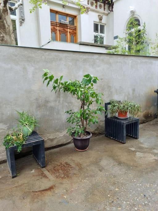 Cozy Apartment Near City Center Bucharest Luaran gambar