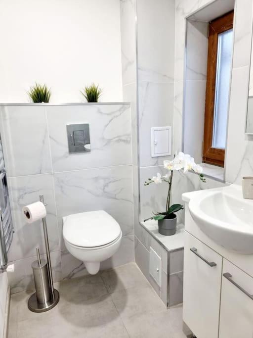Cozy Apartment Near City Center Bucharest Luaran gambar